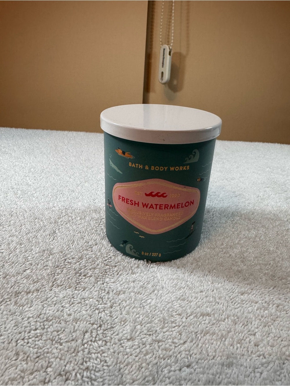 Bath & Body Works Fresh Watermelon Candle - Single Wick